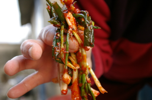 집에서 키운 고추와 파로 어머니가 담근 파김치입니다. 맛이 어떠냐고요? 맛 죽여줍니다. 